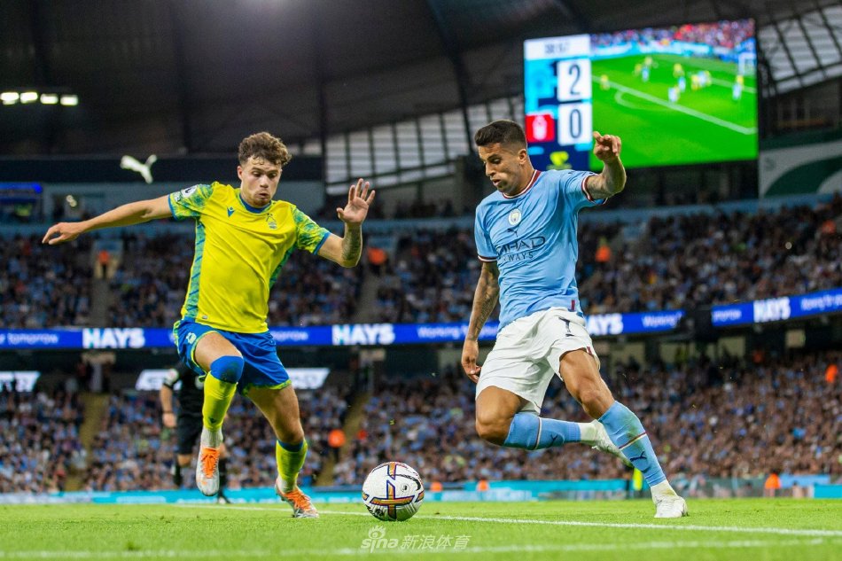 部软组织 部软组织